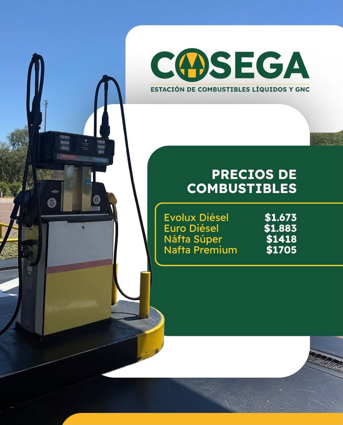 COSEGA — foto 3