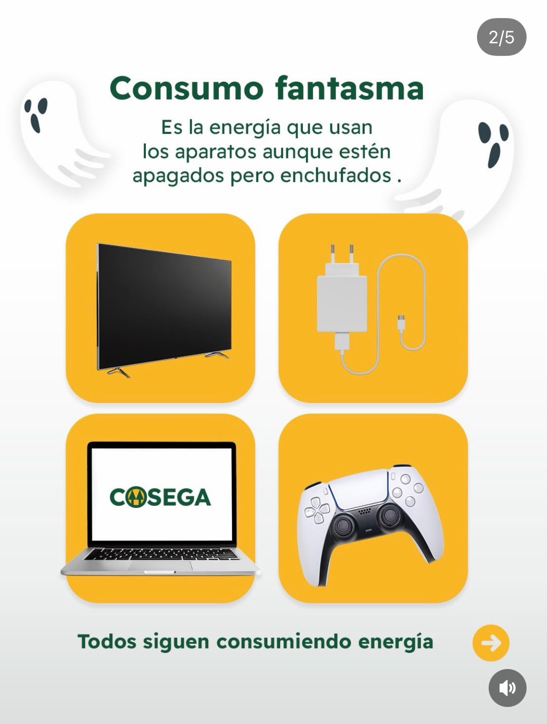 COSEGA — foto 7