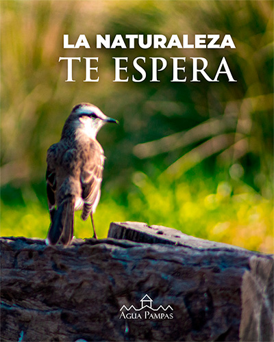 Posada Aguas Pampas — foto 11