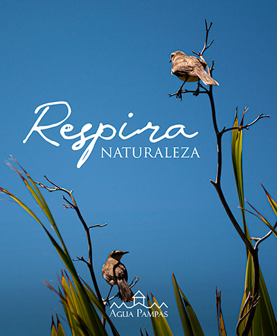 Posada Aguas Pampas — foto 27