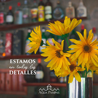 Posada Aguas Pampas — foto 35