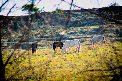 Posada Aguas Pampas — foto 44