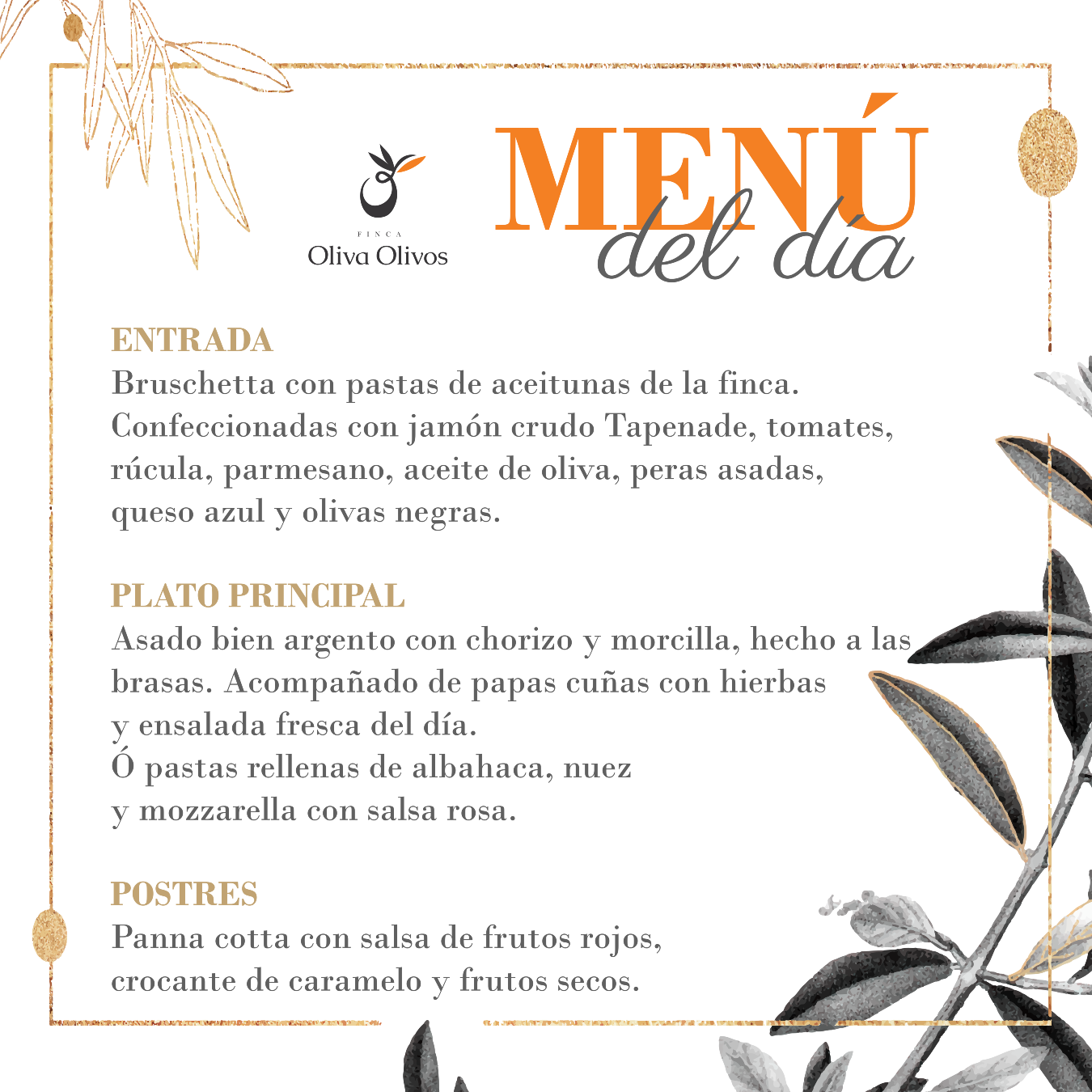 Oliva Olivos — foto 4