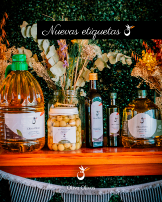 Oliva Olivos — foto 13