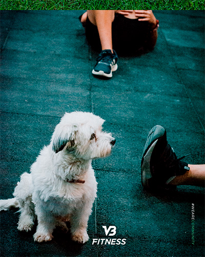 VB FITNESS — foto 14