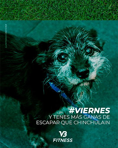 VB FITNESS — foto 24